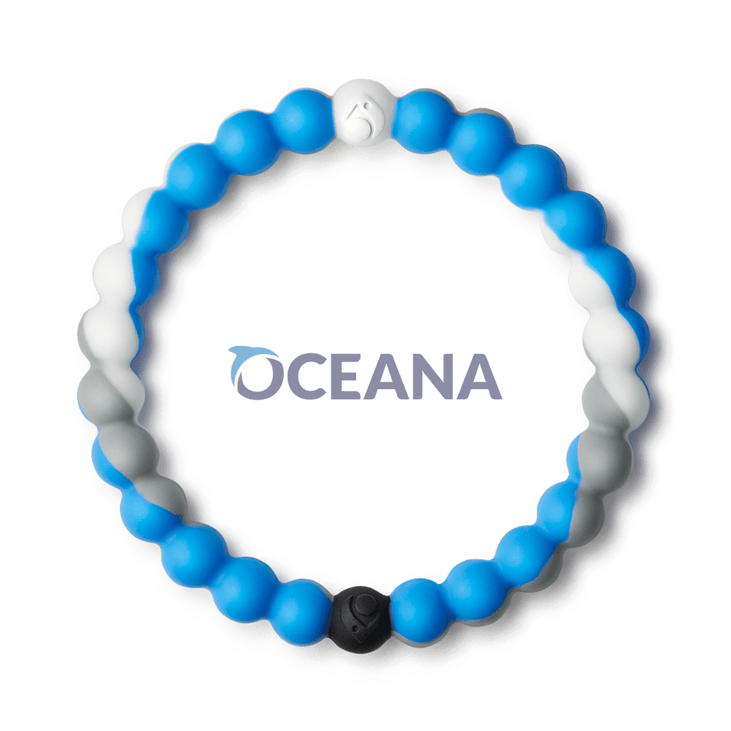 Lokai shark 2025